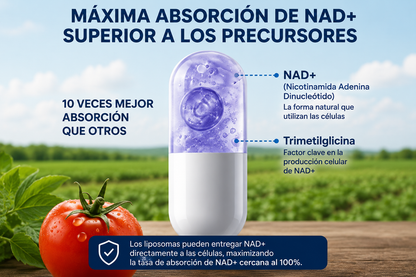 NAD+ con Resveratrol  | Energía Celular y Longevidad