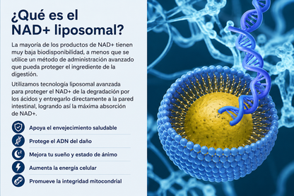 NAD+ con Resveratrol  | Energía Celular y Longevidad