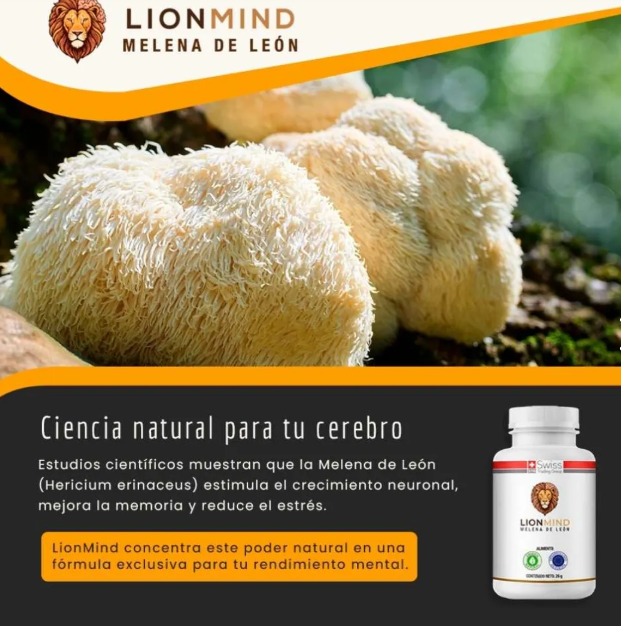 Melena León 60 cápsulas | Lion Mind